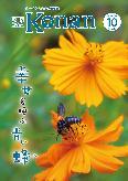 紙面イメージ（広報こなん2023年10月号）