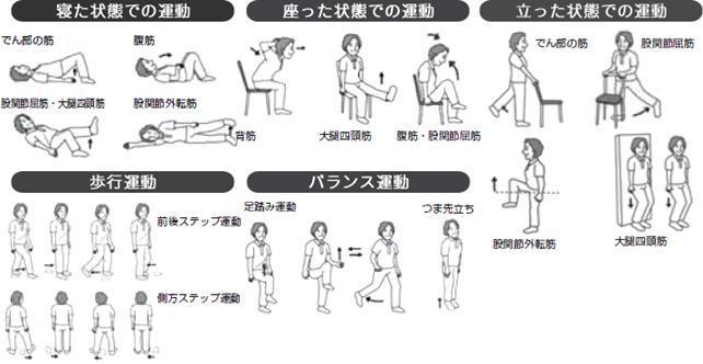 様々な姿勢での運動をしているイラスト