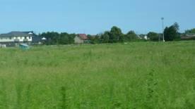 田んぼに草が生え、草原となっている様子の写真