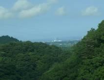 森林の向こうに福島第一原子力発電所が見えている写真