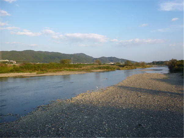 一級河川「野洲川」の写真