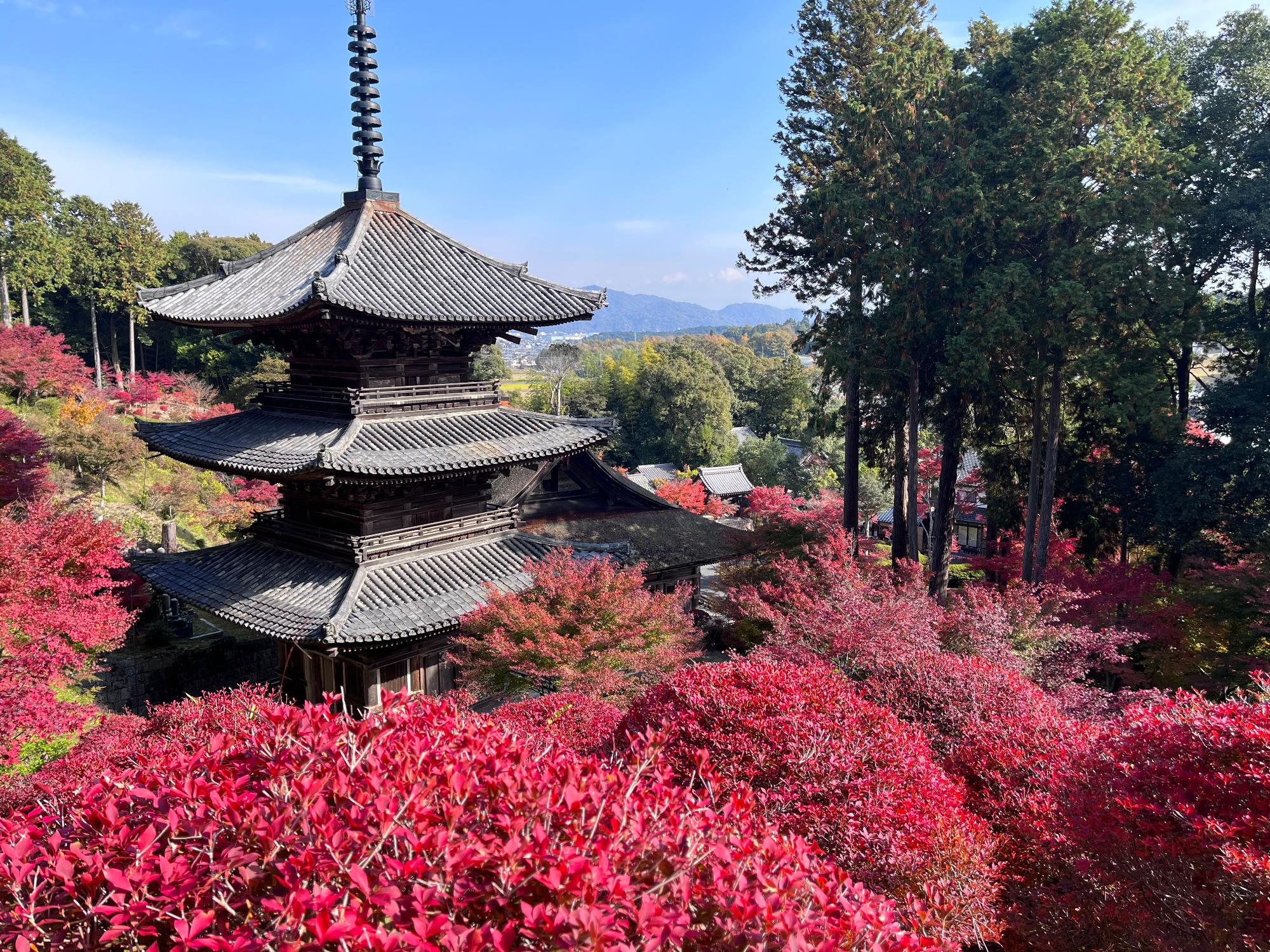 紅葉の常楽寺