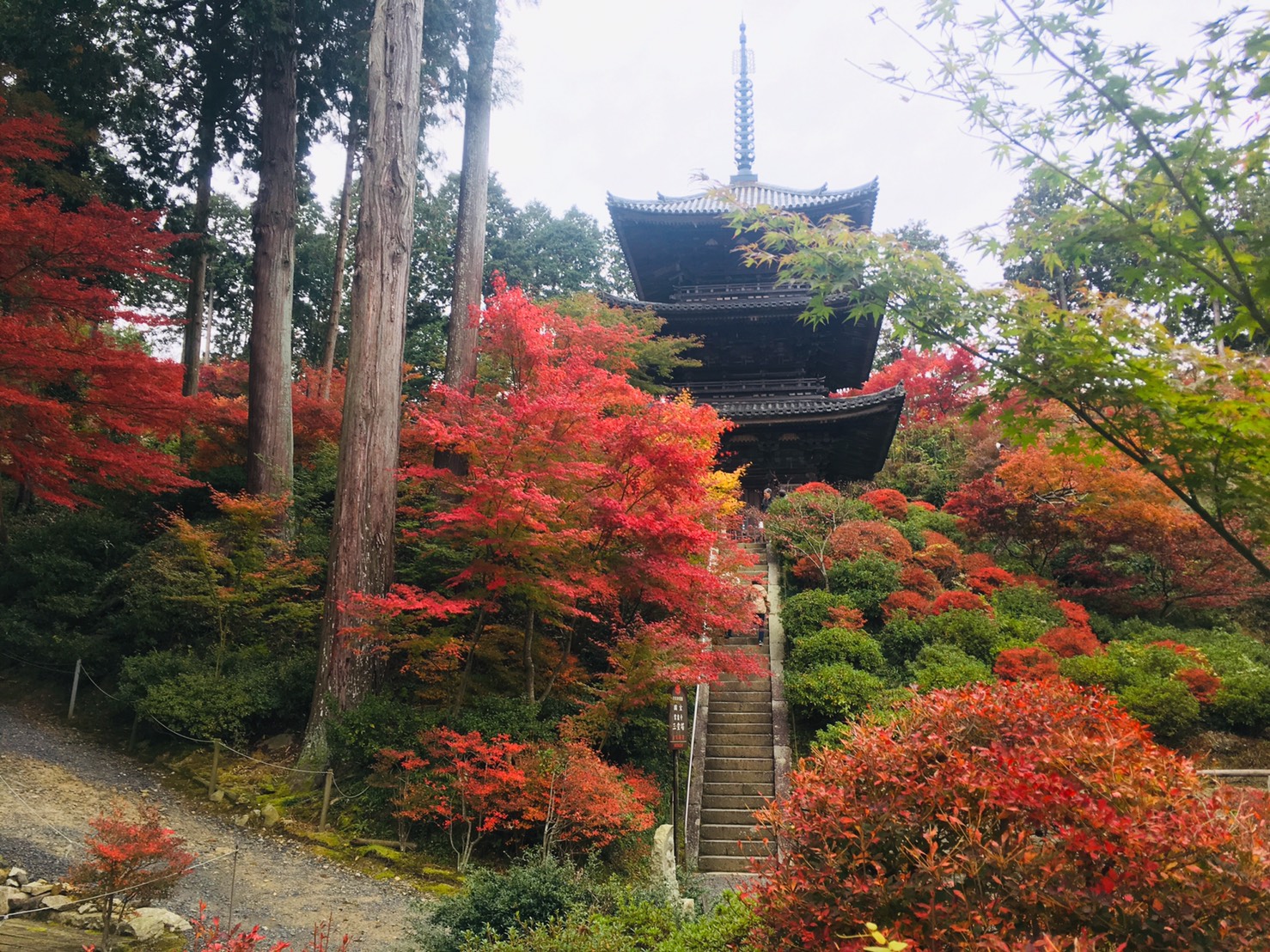 常楽寺