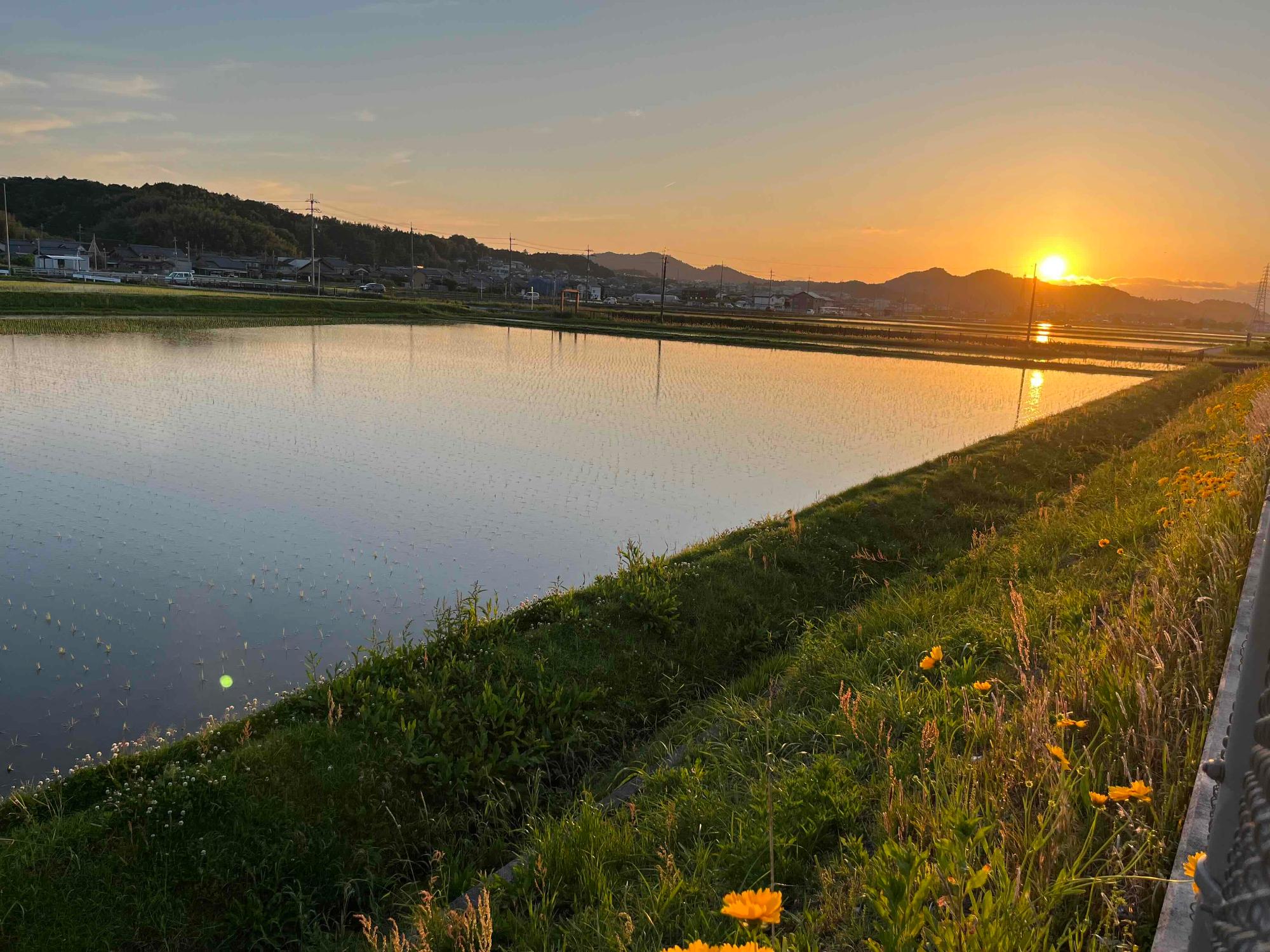 田園風景