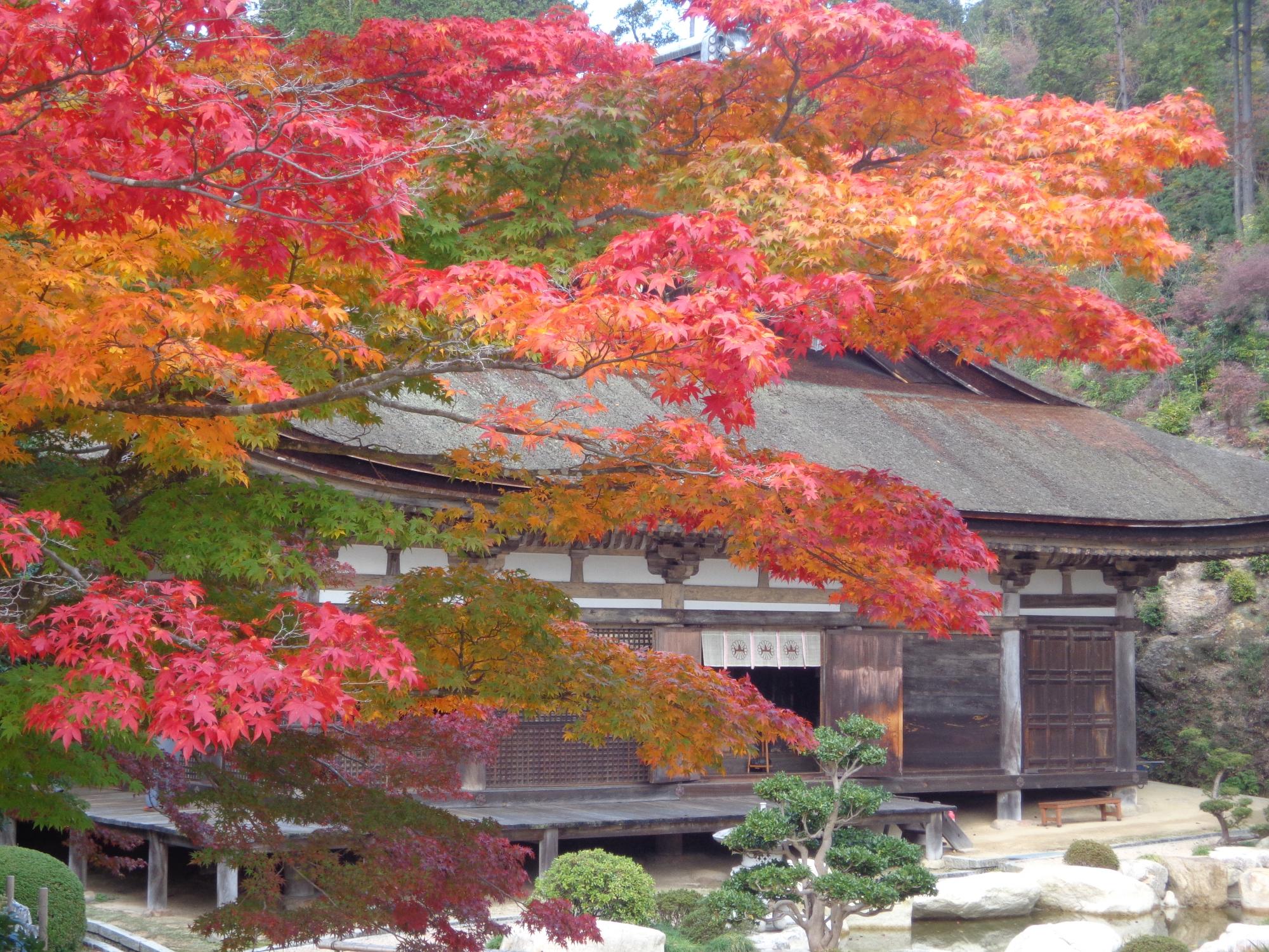 善水寺